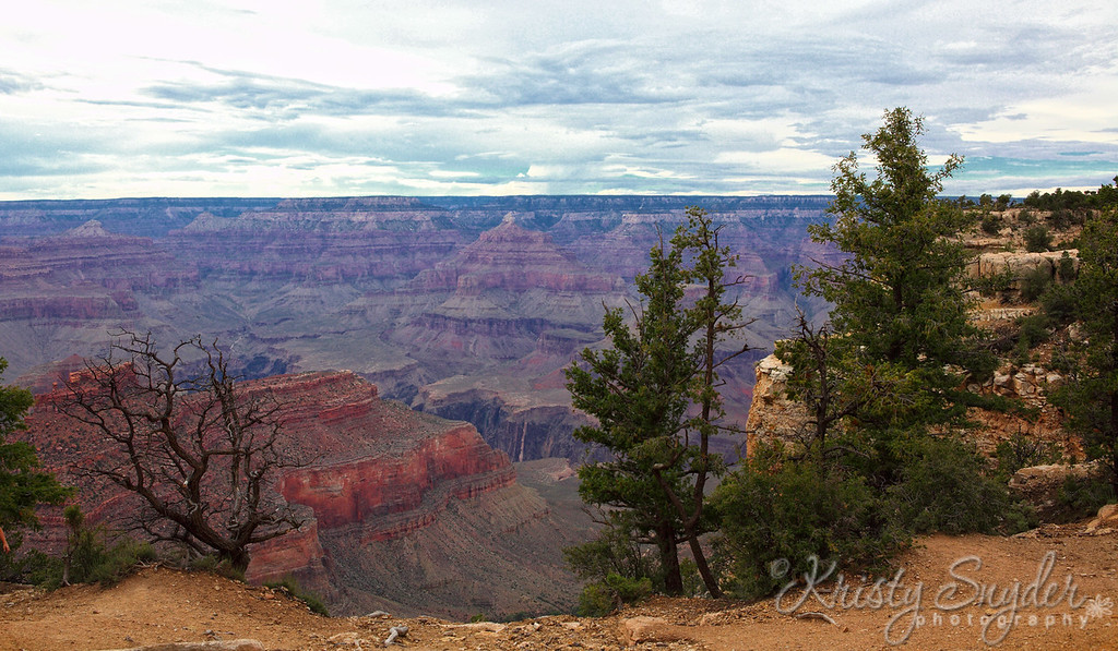 IMAGE: http://ksnyderphoto.smugmug.com/Family/2010-July-Family-Reunion/IMG1250-ed/966637383_YAmzi-XL.jpg