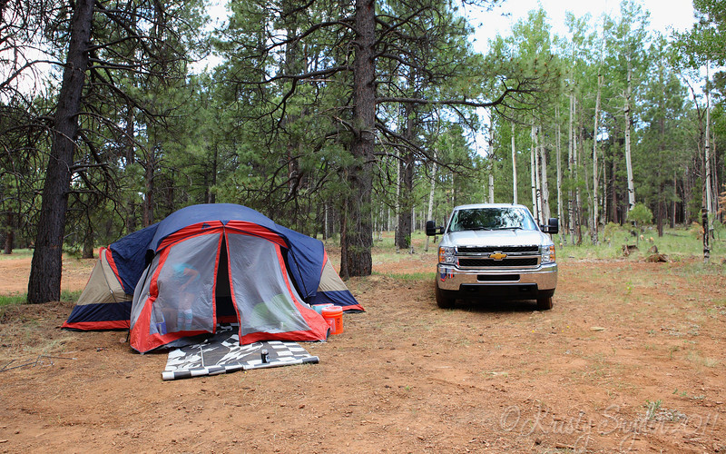 IMAGE: http://ksnyderphoto.smugmug.com/Family/2011-July-Flagstaff-Camping/i-WjTdZvz/0/L/IMG1330-16x10-L.jpg