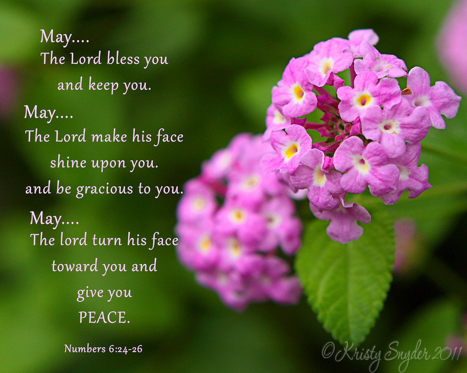 IMAGE: http://ksnyderphoto.smugmug.com/Family/For-Jenny-Verses/i-mtncj3B/0/XL/8x10-lantana-copy-XL.jpg