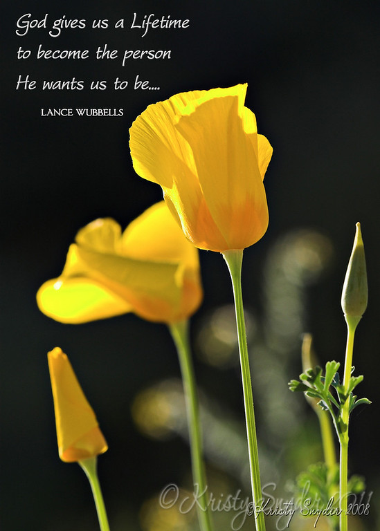 IMAGE: http://ksnyderphoto.smugmug.com/Other/About/IMG6105-copy/627422666_5npL5-XL.jpg