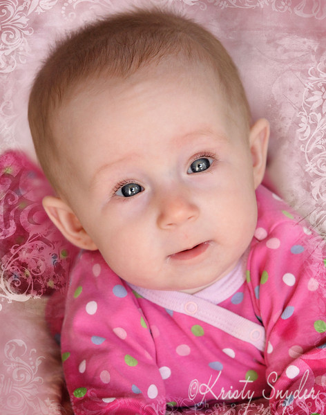 IMAGE: http://ksnyderphoto.smugmug.com/Recent/Recent-Work/IMG0337-11x14/797561715_TdVs9-L.jpg