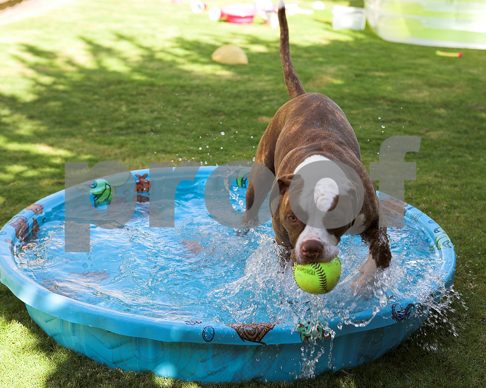 IMAGE: http://ksnyderphoto.smugmug.com/photos/370009427_ZpCuN-XL-3.jpg