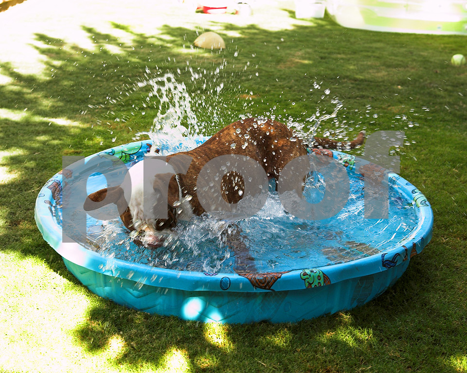 IMAGE: http://ksnyderphoto.smugmug.com/photos/370009436_PC2WY-XL-3.jpg