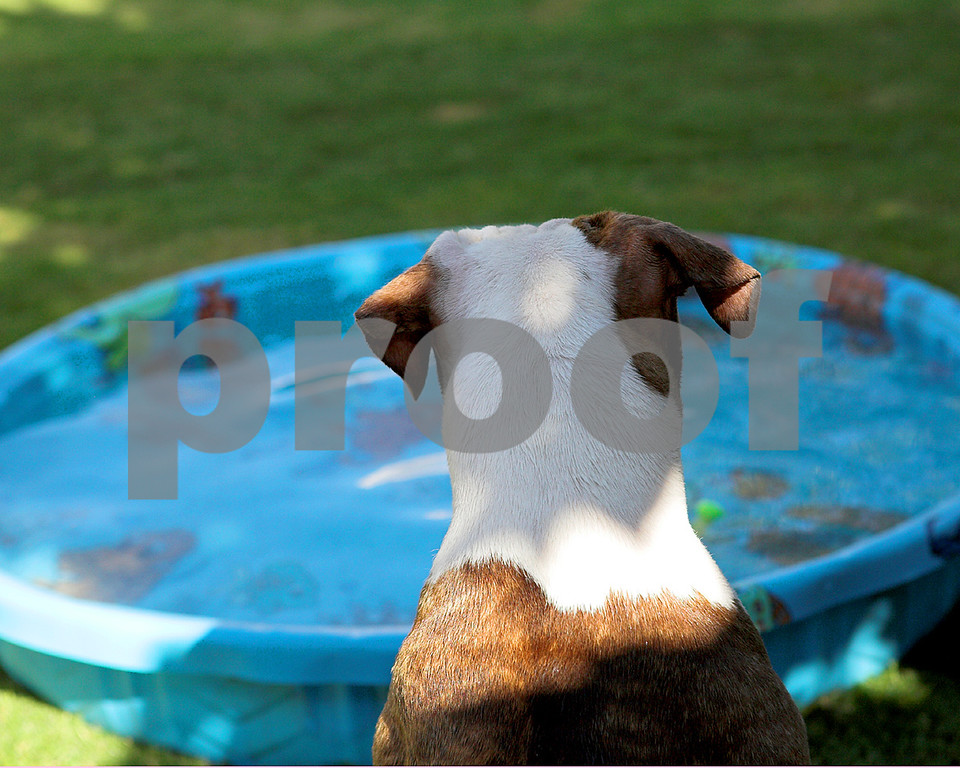 IMAGE: http://ksnyderphoto.smugmug.com/photos/370009451_hmPju-XL-3.jpg