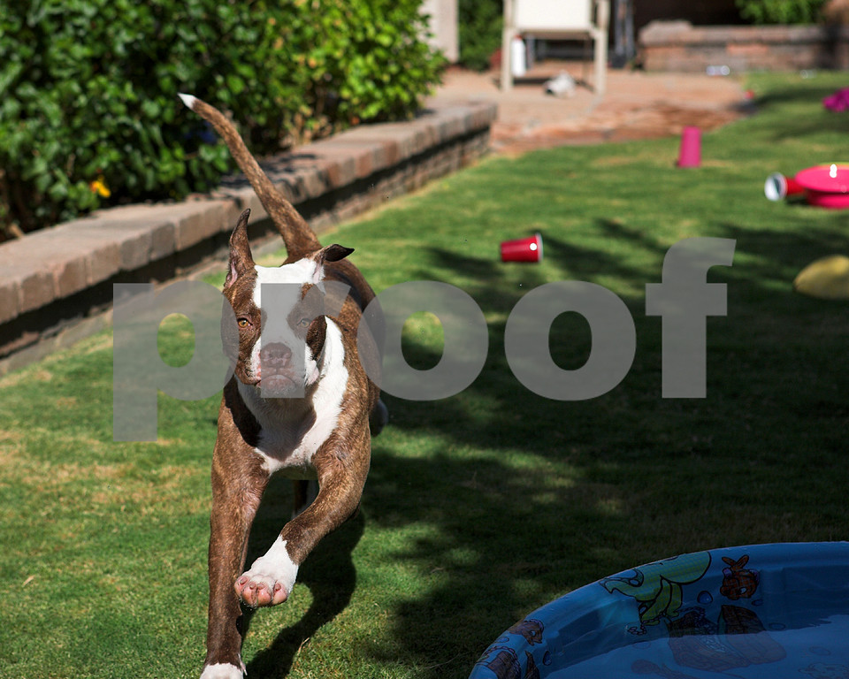 IMAGE: http://ksnyderphoto.smugmug.com/photos/370009457_RybYy-XL-5.jpg