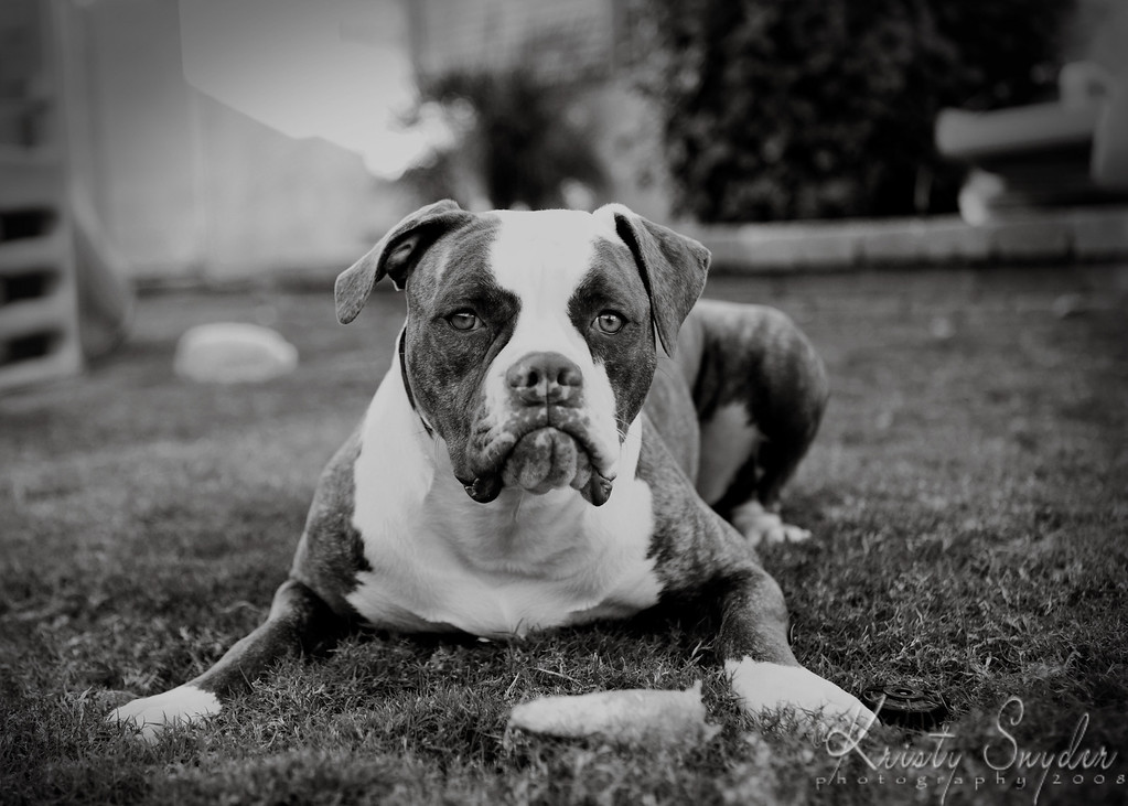 IMAGE: http://ksnyderphoto.smugmug.com/photos/433894568_J9TS8-XL.jpg